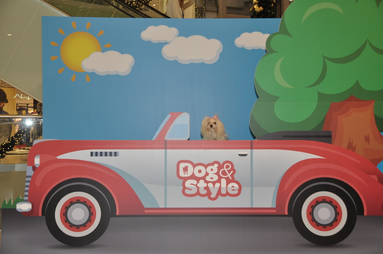 Smekerica kabriolet - 4