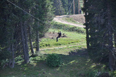 zipline
