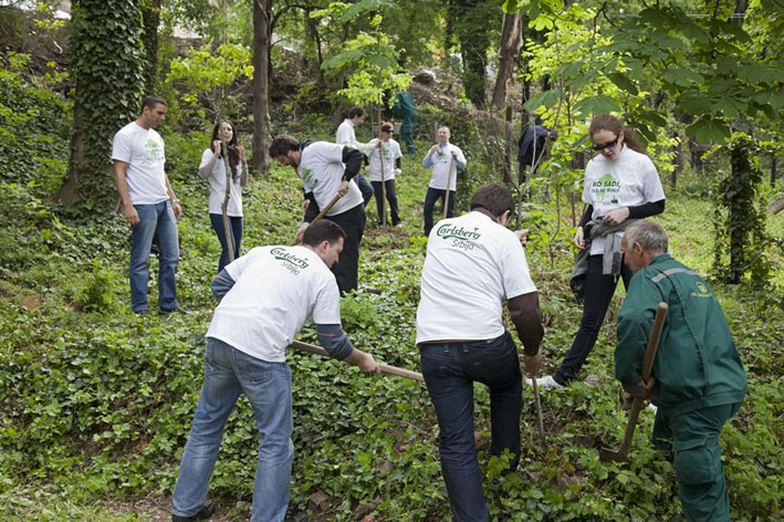 carlsberg_posumljavanje_maj_2011