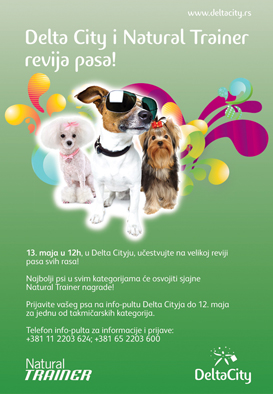 izlozba_pasa_svih_rasa