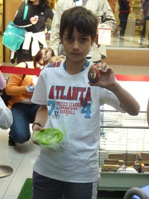 najlepse_jaje_DC_2011