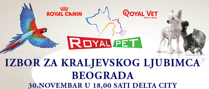 royal_pet