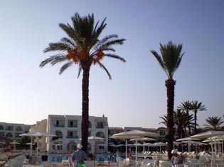 tunis