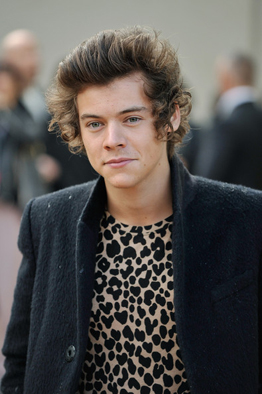Harry Styles Burberry