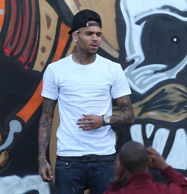 Chris Brown 2013