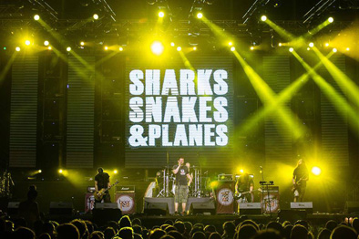 Sharks Snakes Planes