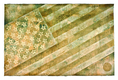 Shepard Fairey Flag E8446B