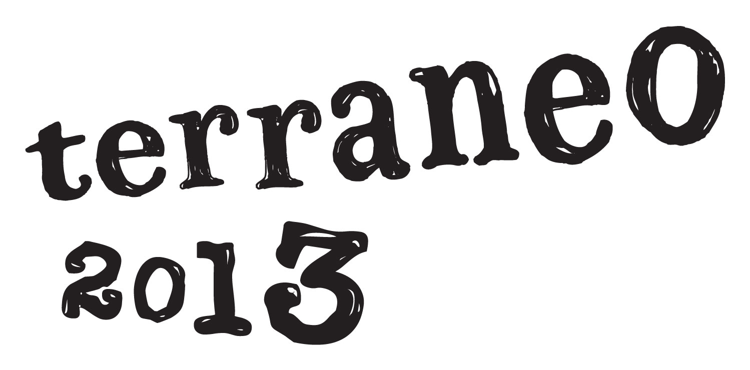 Terraneo 2013 logo