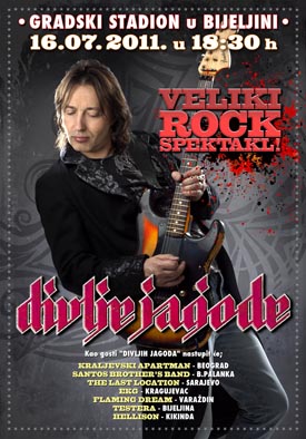 divlje_jagode_plakat