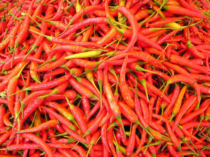 chilli-pepper-449 1280