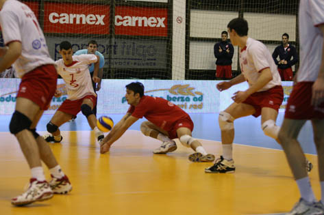 vojvodina_libero_odbojka