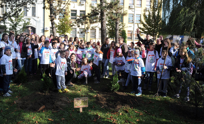 Sadjenje drveca u Kanjizi