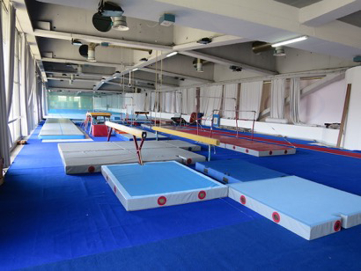 Centar za sportsku gimnastiku sajam