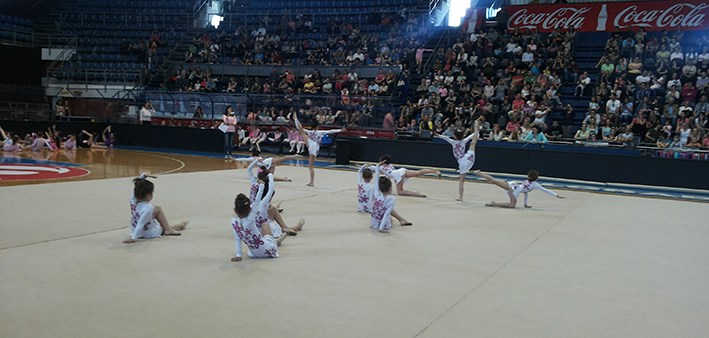 palilula gimanstika 2015