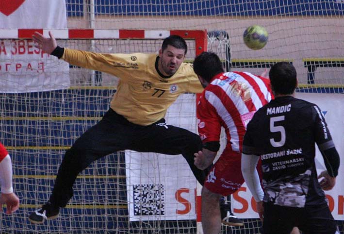 zvezda partizan slika 3