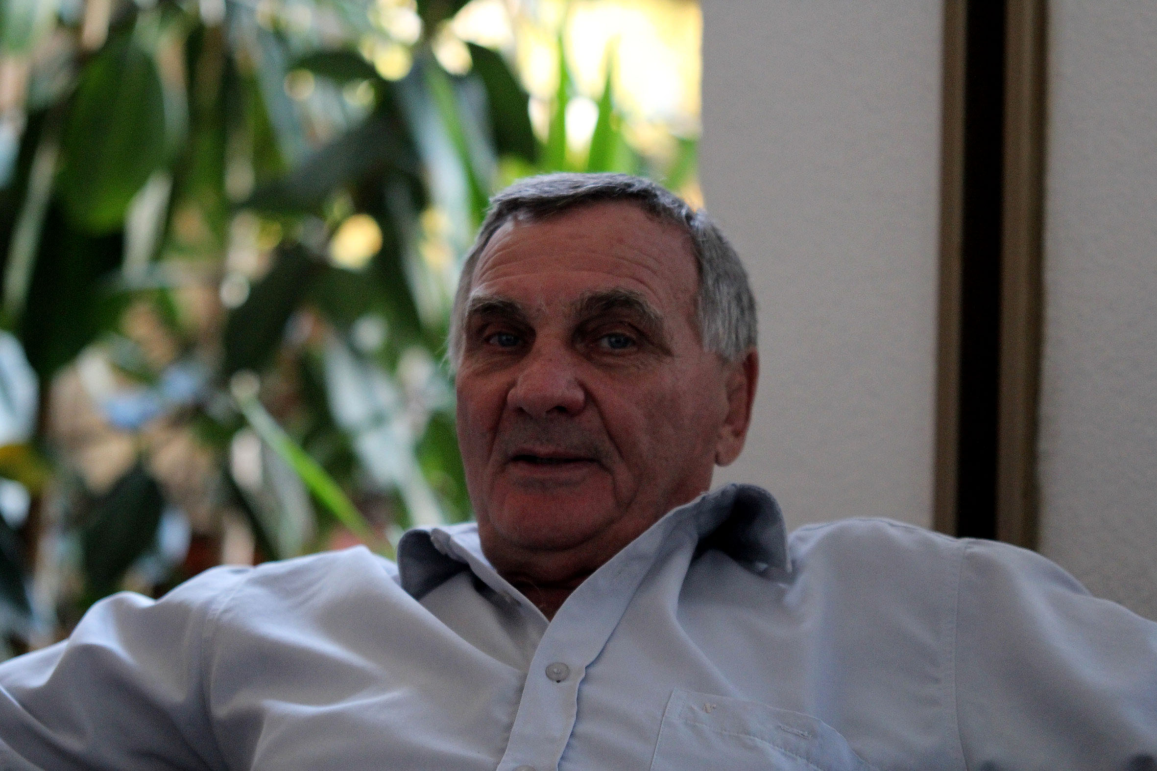 damjanovic 2014 jun
