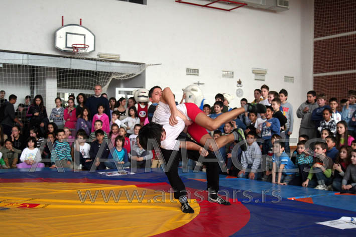 surcin_22_oktobar (2)