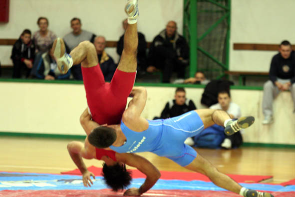 devcic