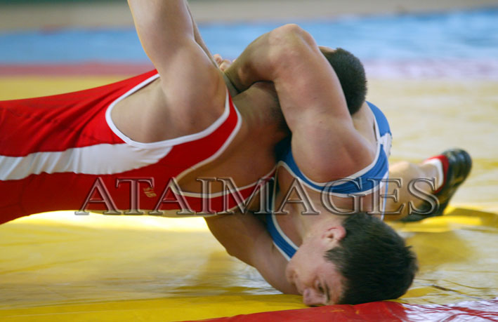 goran_bulatovic_rad_par_2011