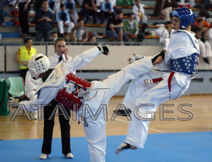 tekvondo_trofej_beograda_banjica_2011