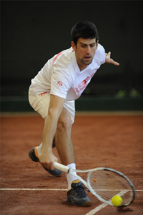 novak_2