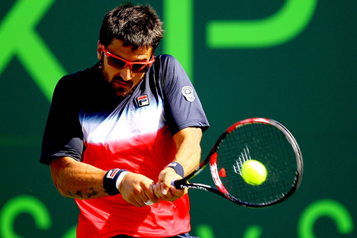 Janko_Tipsarevic_2012