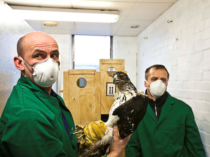 zivotinje na aerodromu