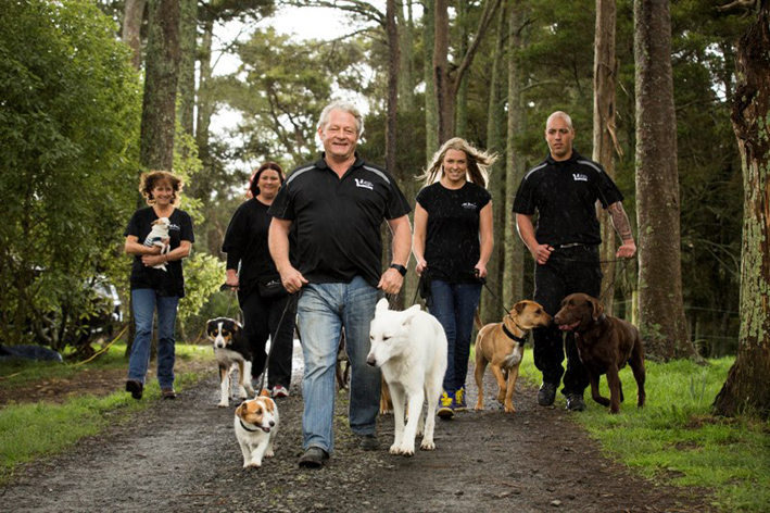 Group amp dogs drive 361