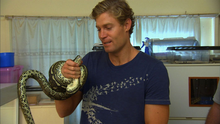 veterinar sa plaze bondaj