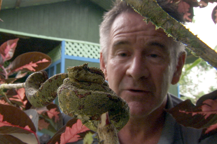 DESET NAJSMRTONOSNIJIH ZMIJA