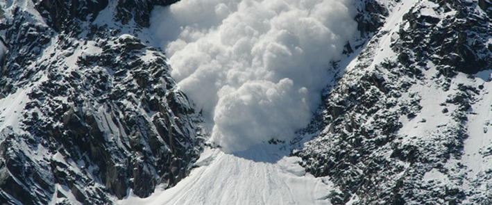 Mislis da bi ti preziveo