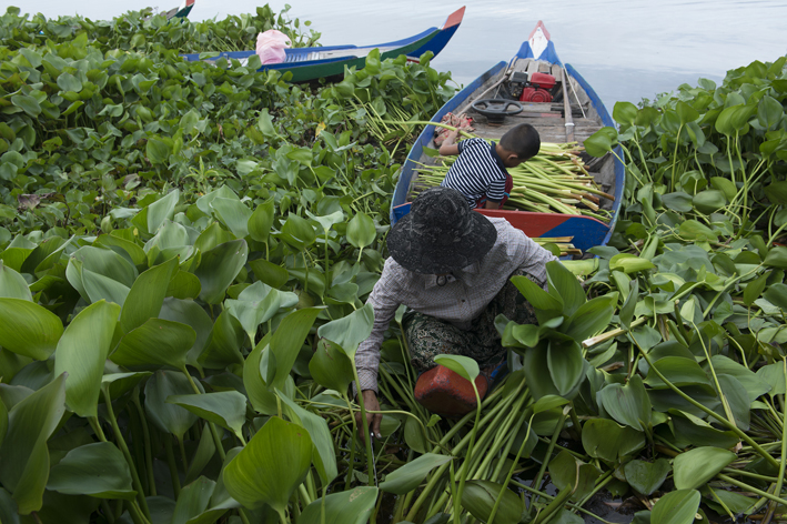 Tajni zivot jezera 1