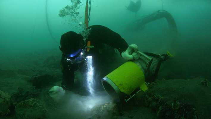 Zlato Beringovog mora