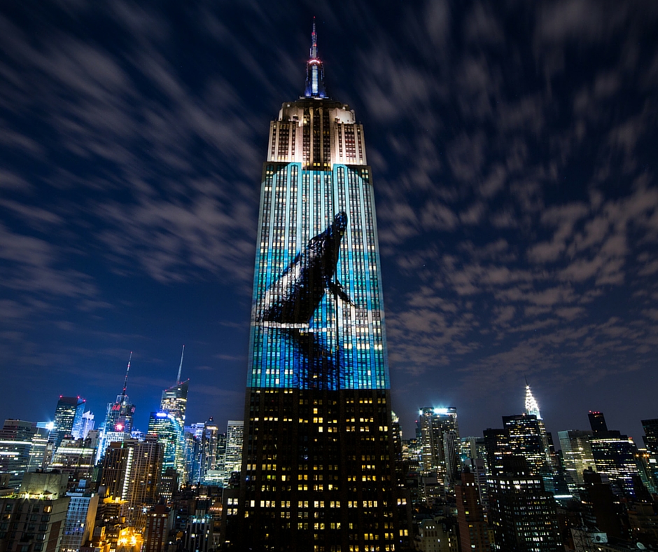 u trci sa izumiranjem