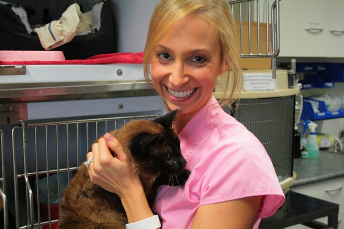 Bondi_Vet_Photos_004