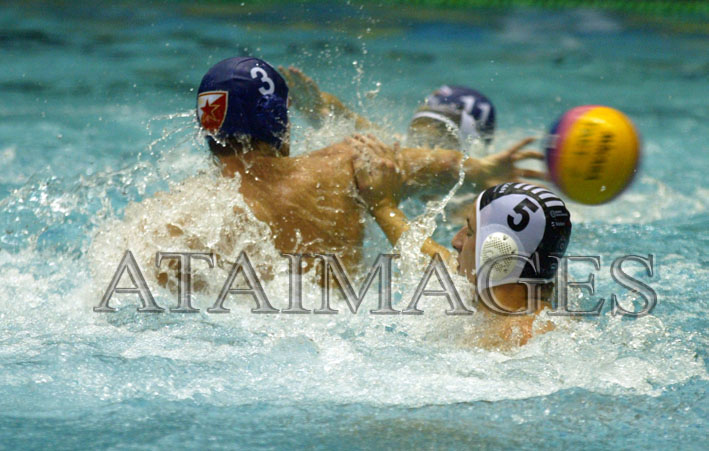 zvezda_partizan_zvezda_1