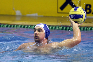 boris_vapenski_vojvodina