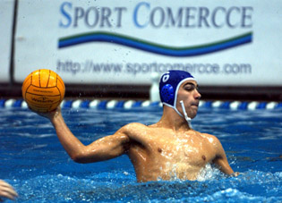 dusko pjetlovic vat par