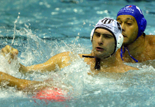 milos_korolija_vat_par