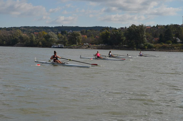 Daljinska regata u Novom Sadu Trka