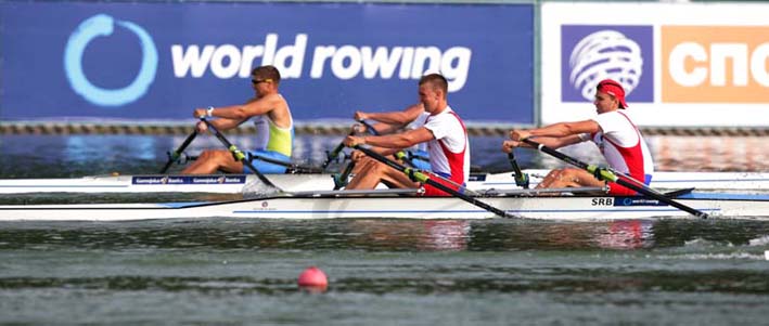 muski_dubl_skul_mackovic,_pivac