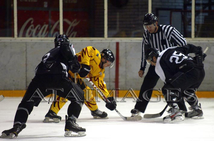 partizan_pionir_2011