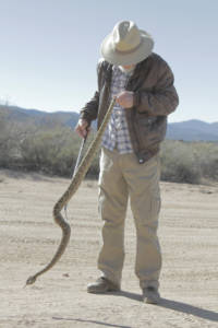 Ed Chapman handling a Western Diamondback snake.