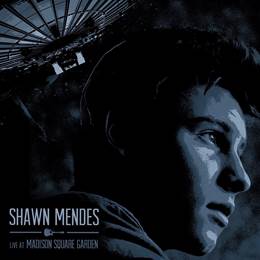 shawn-live