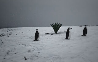 Beldocs 2020: Filmovi koje ne smete propustiti