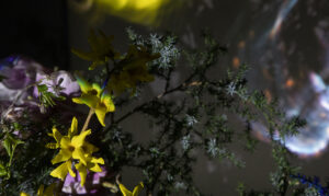 Umetnici iz Praga predstavljaju izložbu Das Untere Licht izložba