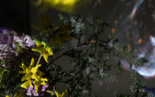 Umetnici iz Praga predstavljaju izložbu Das Untere Licht izložba