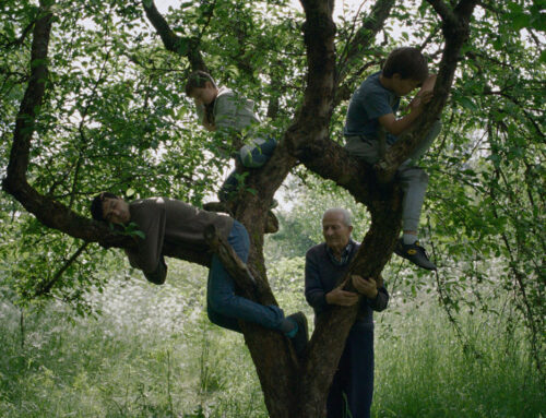 „Vetre, pričaj sa mnom“ Stefana Đorđevića osvojio dve nagrade na festivalu Novos Cinemas u Španiji: Glavnu nagradu i Nagradu publike