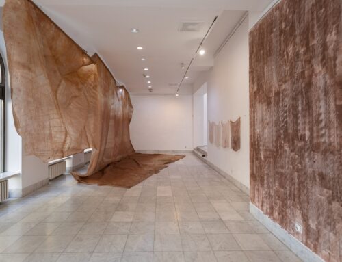 Sutra otvaranje izložbe „Popis – materija, umetnost, kapitalizam“ Irene Lagator Pejović i Jelene Micić u Salonu Muzeja savremene umetnosti Beograd