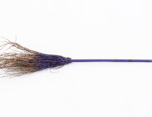 Otvaranje izložbe Biljane Cincarević sutra na Kolarcu